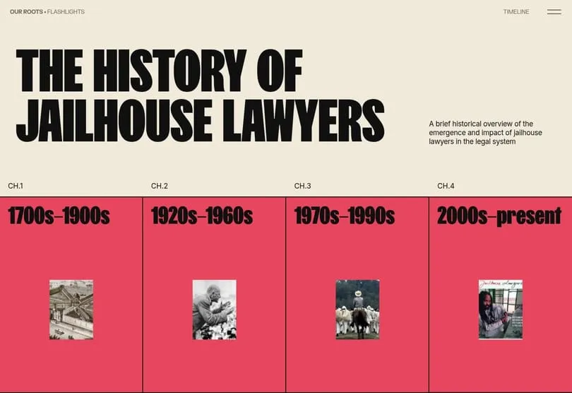 Jailhouse Lawyers Initiative website preview